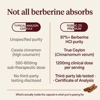 Premium Berberine with Ceylon Cinnamon