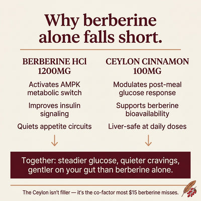 Premium Berberine with Ceylon Cinnamon
